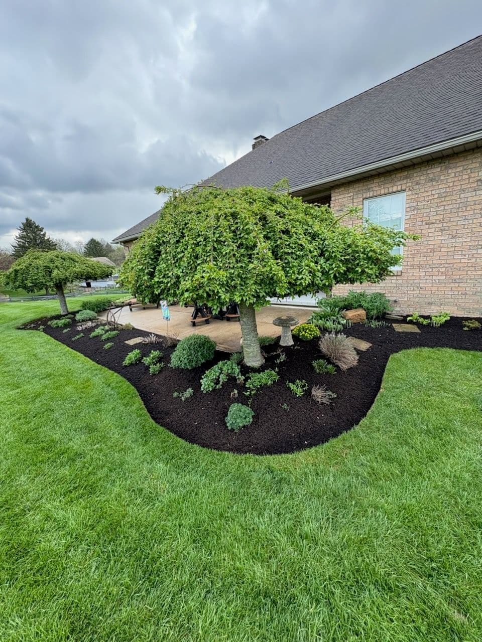 Garden Cleanup and Design Enhancement